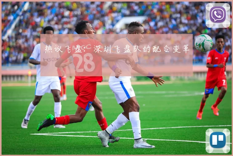 热议飞盘：深圳飞盘队的配合变革