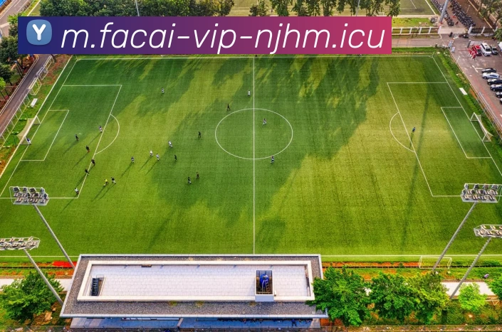 MK体育服务体系